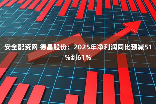 安全配资网 德昌股份：2025年净利润同比预减51%到61%